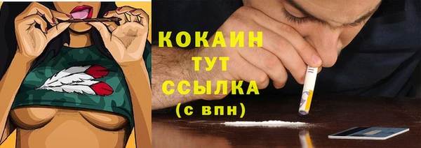 кокс Аркадак